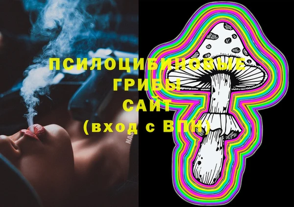 прущая мука Каменногорск