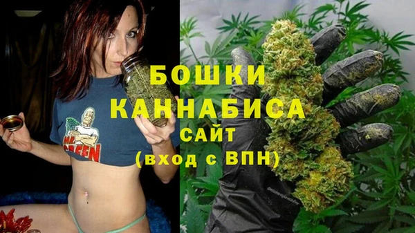 прущая мука Каменногорск