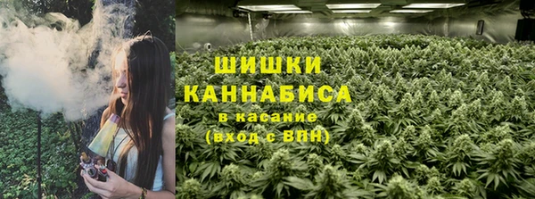 крисы Каменск-Шахтинский