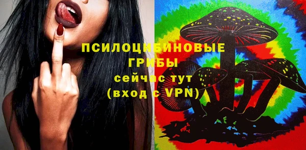 экстази Каменка