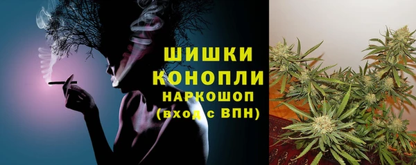 молекула духа Карпинск