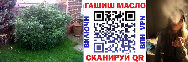 площадка Telegram  Ставрополь  Дистиллят ТГК концентрат 