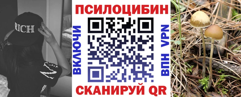 Псилоцибиновые грибы MAGIC MUSHROOMS  Ставрополь 